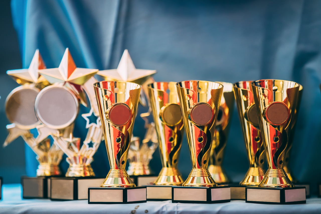 Organizational Excellence